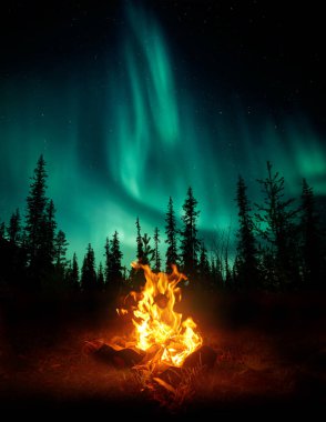 A warm and cosy campfire in the wilderness with forest trees silhouetted in the background and the stars and Northern Lights (Aurora Borealis) lighting up the night sky. Photo composite.