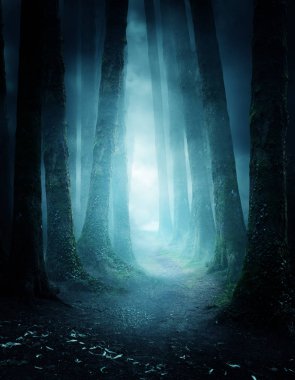Orman içinden giden bir yol ile gece karanlık ve huysuz. Fotoğraf kompozit.