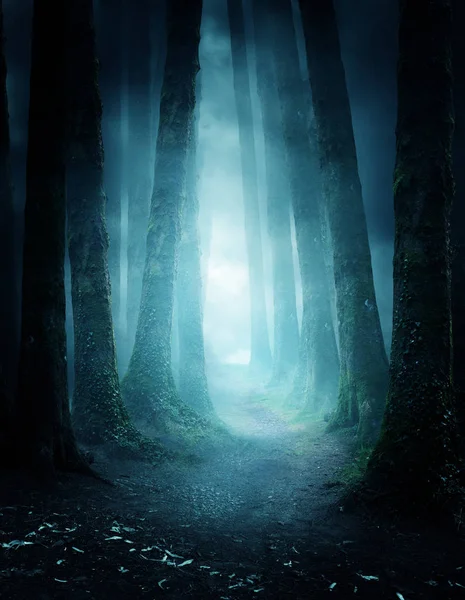 Темный Угрюмый Лес Ночью Тропинкой Ведущей Через Фотокомпозит — стоковое фото