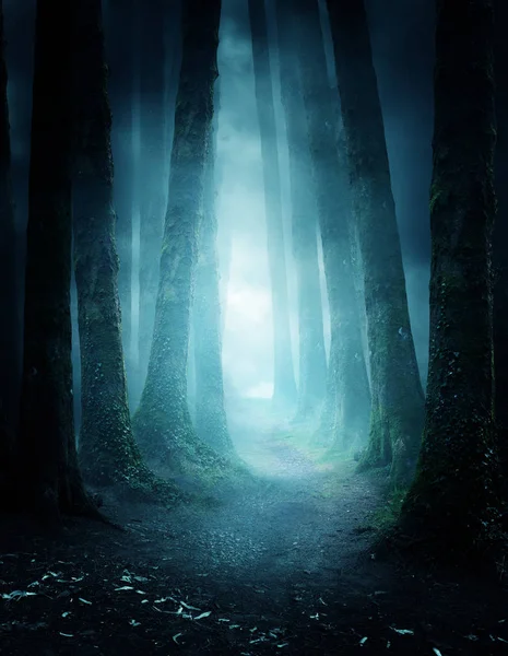 Orman içinden giden bir yol ile gece karanlık ve huysuz. Fotoğraf kompozit.