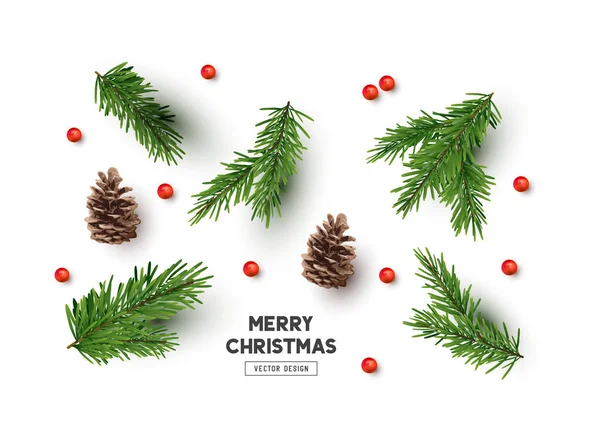 Conjunto Decoraciones Navideñas Naturales Para Hacer Sus Propios Arreglos Incluyendo — Vector de stock