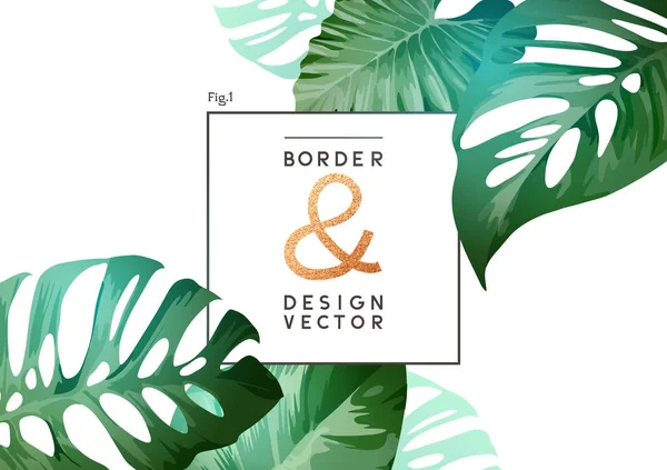 Diseño de diseño de marco botánico tropical — Vector de stock