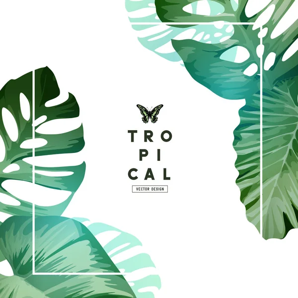 Conception de cadre tropical minimaliste frais — Image vectorielle