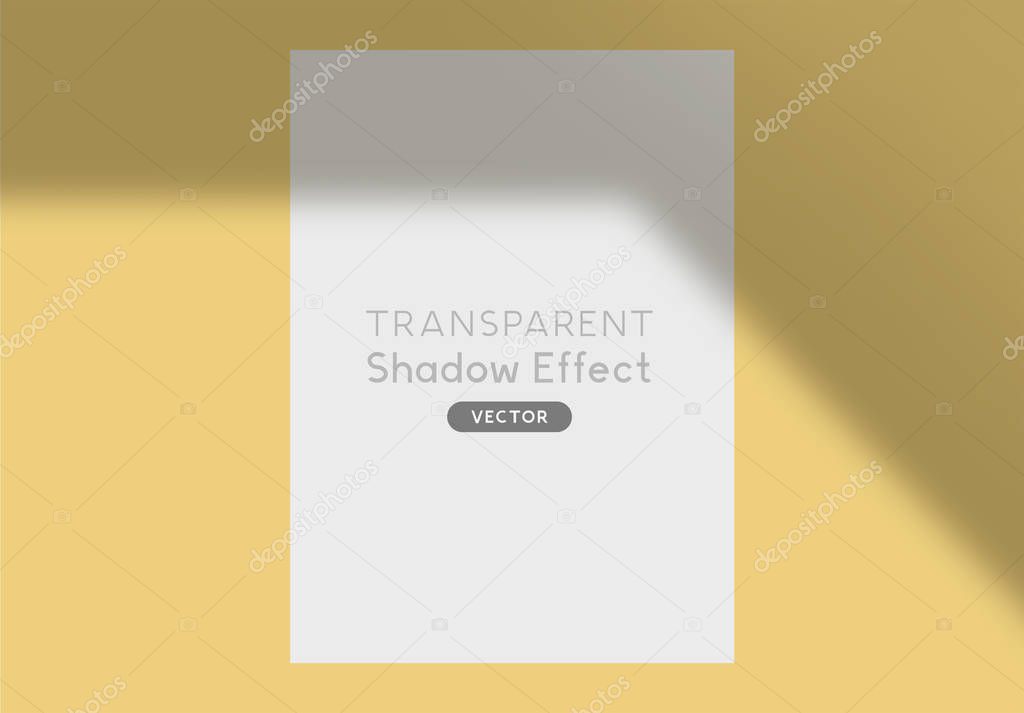 Vector Shadow effect Overlay