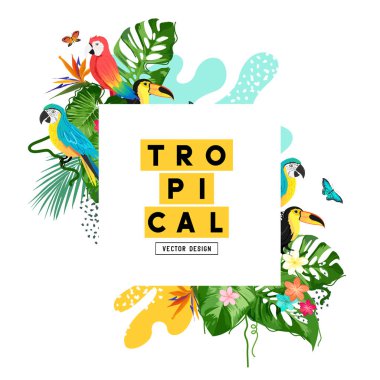 Egzotik Jungle Yaz Arka Plan Çerçevesi