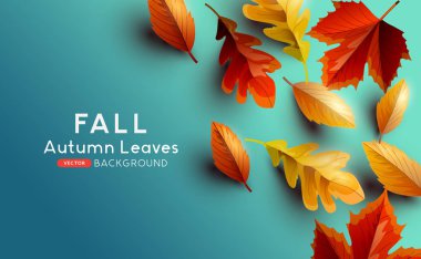 Autume Sonbahar Yaprakları Arka Plan Tasarımı