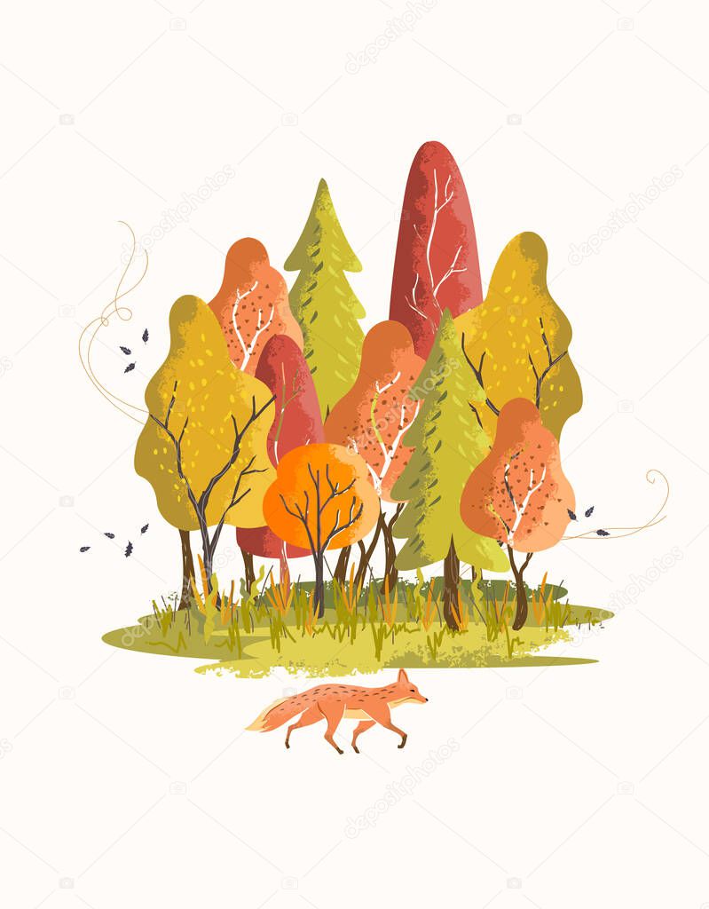 A colourful autumn forest fall scene with trees changing colour as a fox walks past. Vector illustration.