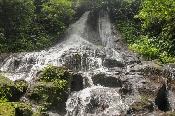 Каскадний Водоспад Гоа Гірі Кампухан Тропічних Джунглях Балі Індонезія Дивовижний — стокове фото
