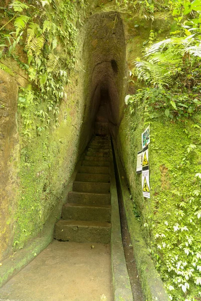 Historischer Tunnel Der Dschungel Den Fels Gehauen Wurde Ein Handgeschnitzter — Stockfoto