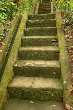 Tropikal orman yürüyüşüne ve Endonezya, Bali 'de yürümeye öncülük eden eski taş adımlar. Tropikal ormanda Goa Giri Campuhan şelalesine giden merdiven. Eski beton merdivenler ve çevreleyen bitki örtüsü.