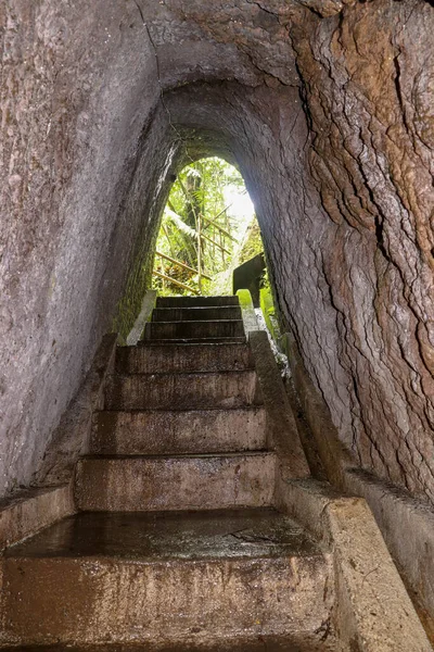 Storico Tunnel Scavato Nella Roccia Nella Giungla Tunnel Scavato Mano — Foto Stock