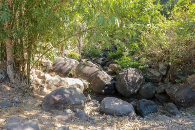 Arka planda kurumuş bir nehirde izole edilmiş lastik terlikler ve kayalar. Çevre kavramları.