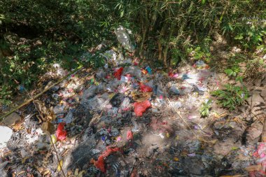 Plastik atık. Ormandaki çöp yığını. Çevre ormanındaki çöpler. Doğa Ekolojisini ve kirliliği koru.
