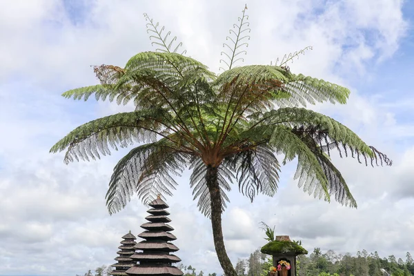 Barevná Balijská Krajina Chrámem Chrámy Pura Penataran Agung Besakih Komplex — Stock fotografie