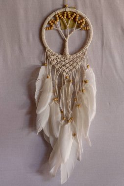 Beyaz düş kapanı. Uyuyan kişiyi kötü ruhlardan ve hastalıklardan koruyan Kızılderili tılsımı. Ağaç, hayatın sembolü. Beyaz arkaplan.