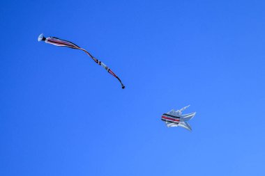 Geleneksel bale uçurtması. Mavi gökyüzünde uzun bir kuyruk sineği. Mavi gökyüzünde bulutsuz renkli uçurtma.