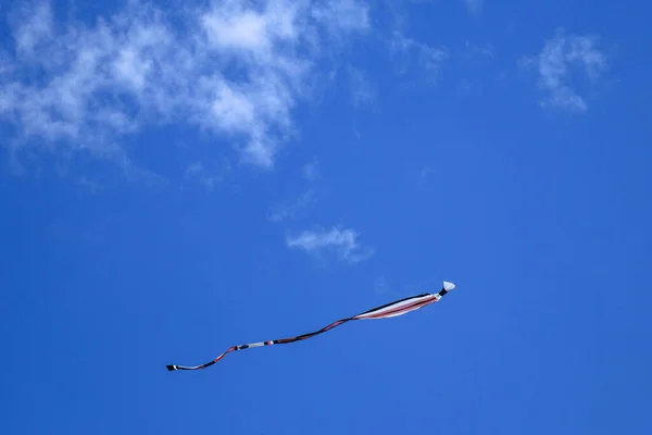 Papagaio Longo Tailfly Céu Azul Papagaio Colorido Céu Azul Com — Fotografia de Stock