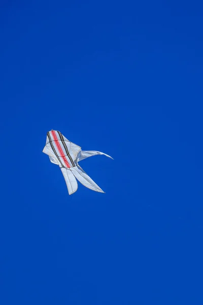 Balinese Witte Vlieger Met Gekleurde Stroken Vliegt Tegen Blauwe Lucht — Stockfoto