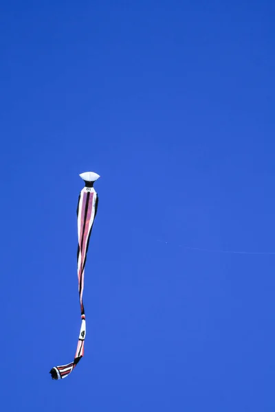 Papagaio Longo Tailfly Céu Azul Papagaio Colorido Céu Azul Sem — Fotografia de Stock