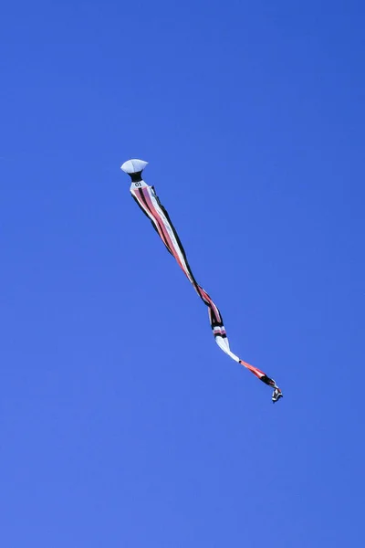 Kite Largo Tailfly Cielo Azul Cometa Colores Cielo Azul Sin —  Fotos de Stock