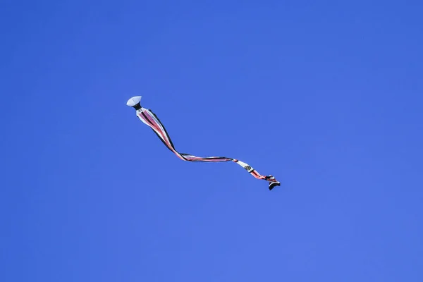 Mavi Gökyüzünde Uzun Bir Kuyruk Sineği Mavi Gökyüzünde Bulutsuz Renkli — Stok fotoğraf