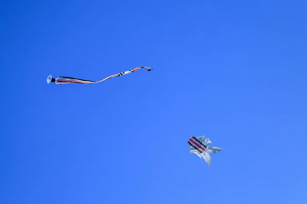 Cerf Volant Balinais Traditionnel Les Enfants Balinais Jouent Avec Des — Photo