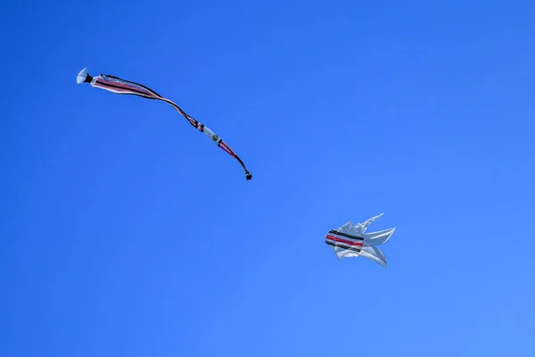 Geleneksel Bale Uçurtması Mavi Gökyüzünde Uzun Bir Kuyruk Sineği Mavi — Stok fotoğraf