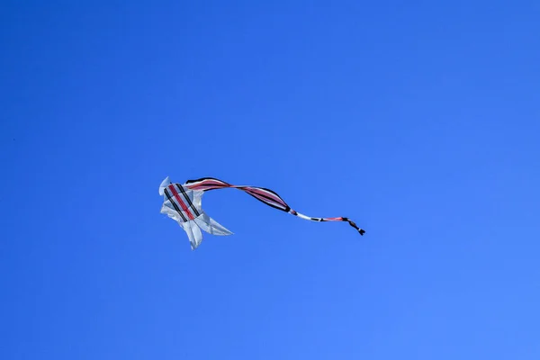 Kite Long Tailfly Blue Sky Colorful Kite Blue Sky Clouds — Stock Photo, Image