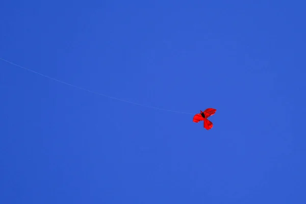 Kite Φόντο Σκούρο Μπλε Του Ουρανού Κόκκινος Αετός Στον Σκούρο — Φωτογραφία Αρχείου