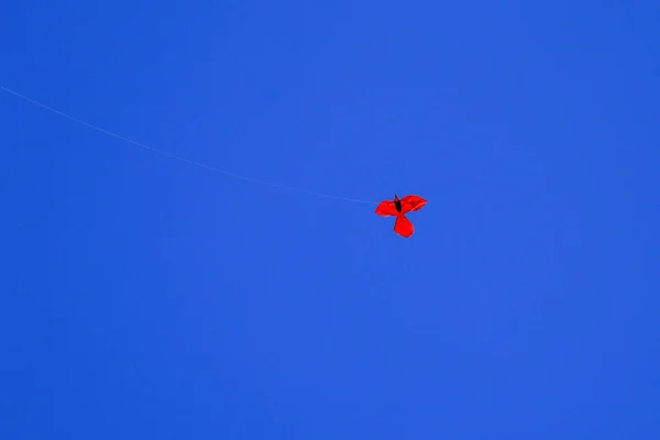 Vlieger Achtergrond Van Donkerblauwe Lucht Rode Vlieger Donkerblauwe Lucht Ruimte — Stockfoto