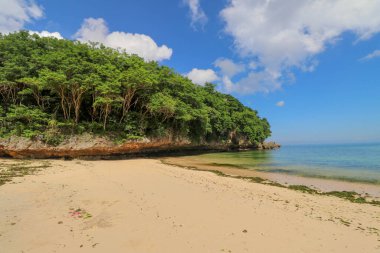Endonezya, Bali 'deki Padang Padang Sahili' nin güzel bir manzarası. Sarı ince kum.