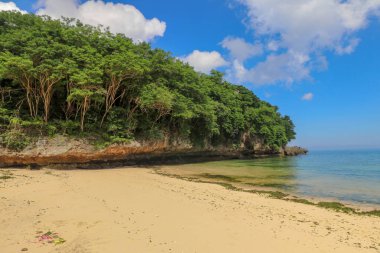 Endonezya, Bali 'deki Padang Padang Sahili' nin güzel bir manzarası. Sarı ince kum.