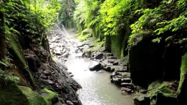 Nehirli dar taşlı kanyon. Yeşil bitki örtüsüyle kaplanmış dik yamaçlar. Hava aracı görüntüsü. Tropikal yağmur ormanlarındaki dar nehir kanyonu. Kaya duvarları ve kayalar yeşil yosunlarla kaplanmış.