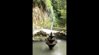 Ormandaki küçük dekoratif çeşme. Arka planda bir yamaçta güzel bükülmüş kökler yetişir. Peyzaj tasarımı