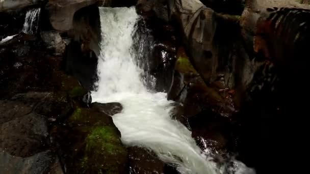 Rauschendes Wasser fließt über den Grund eines felsigen Bachbettes — Stockvideo