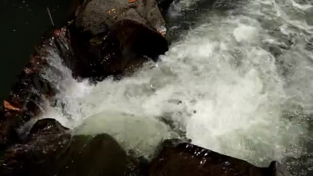 El agua corriendo fluye a través del fondo de un lecho rocoso — Vídeos de Stock