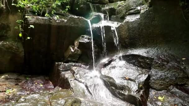 Primo piano di spruzzi d'acqua che scorrono dal fiume di montagna il giorno d'estate. Acqua fredda di sorgente che scorre spruzzi di fiume frizzante. Flusso, natura, rocce — Video Stock