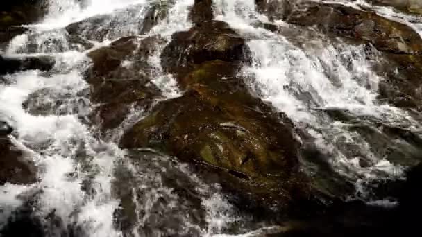 Primo piano di spruzzi d'acqua che scorrono dal fiume di montagna il giorno d'estate. Acqua fredda di sorgente che scorre spruzzi di fiume frizzante. Flusso, natura, rocce — Video Stock