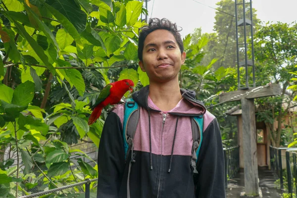 Czerwona lorygująca na męskiej dłoni. Azjatycki przystojny tenager z papugą w tropikalnym parku ptaków. Eos Bornea to gatunek papugi z rodziny Psittaculidae — Zdjęcie stockowe