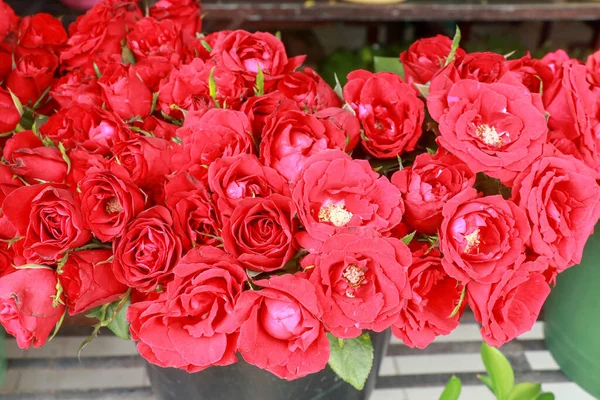 Букет Красных Роз Черном Фоне Вид Сверху — стоковое фото