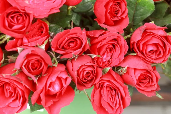 Fond Bouquet Roses Rouges Dans Épicerie — Photo