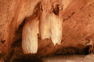 Goa Bangkang Prabu, Lombok, Endonezya 'daki yarasa mağarasında kireçtaşı sarkıtları..