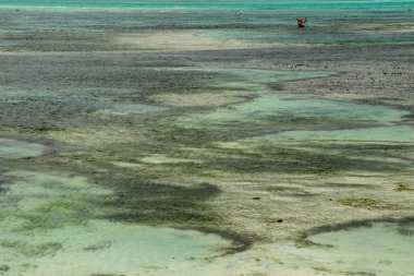 Tanjung Aaan, Lombok, Endonezya 'daki okyanusta gelgit sırasında küçük gelgit havuzu. Hint Okyanusu 'ndaki bir adanın etrafındaki Roral resifler alçak gelgit sırasında, ki bu da harika bir manzara oluşturuyor..