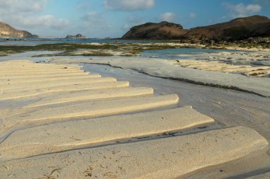 Hollanda Kuzey Denizi kıyısında gelgitte akan sular. Nehirden akan bir sahil.