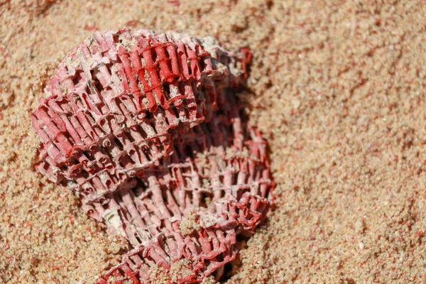 Primo piano della tintura di corallo nella sabbia a Pink Beach, Lombok, Indonesia. Corallo rosso nella sabbia. Il corallo frantumato trasforma la sabbia in rosa — Foto Stock