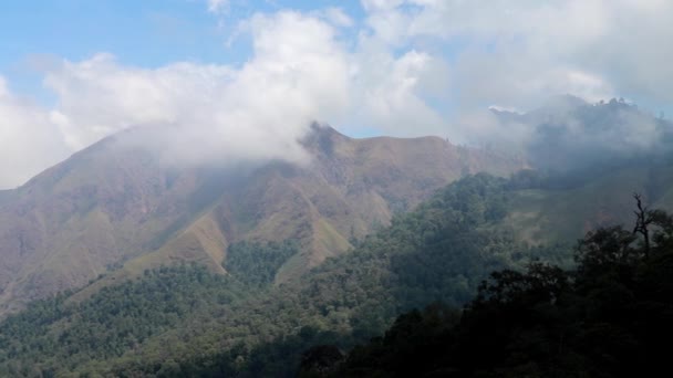 Drone menangkap awan bergulir ke kawah Gunung Rinjani di Lombok, Indonesia. Pemandangan puncak gunung berapi Rinjani dari sudut pandang Taman Wisata Pusuk Sembalun — Stok Video