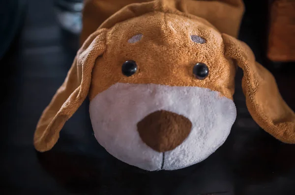 Boneca cão bonito com rosto triste — Fotografia de Stock