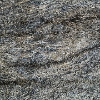 soyut gri ahşap doku arka plan