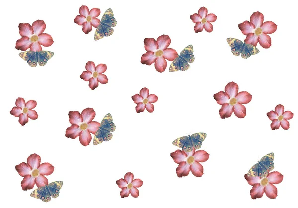 蝶のパターンの性質を持つピンクの花背景 — ストック写真