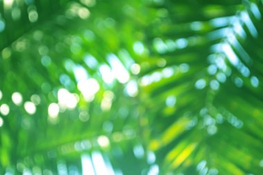 Yeşil bokeh doğa soyut arkaplan 